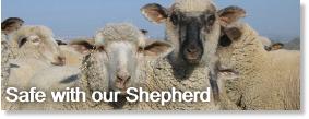 Safe with our Shepherd